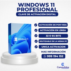 Software Windows 11 Professional